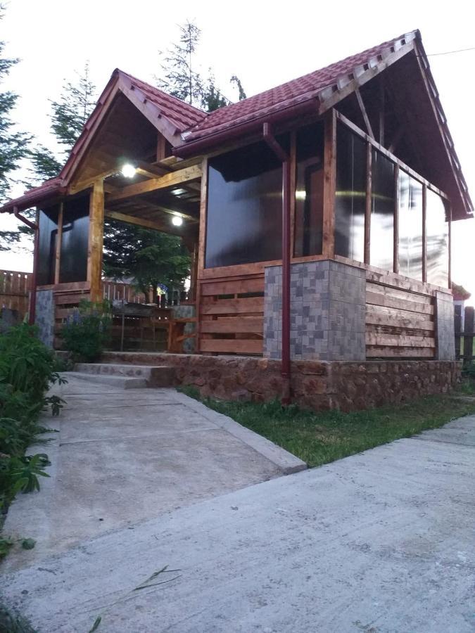 Pensiunea Floare De Colt Beliş Exterior foto