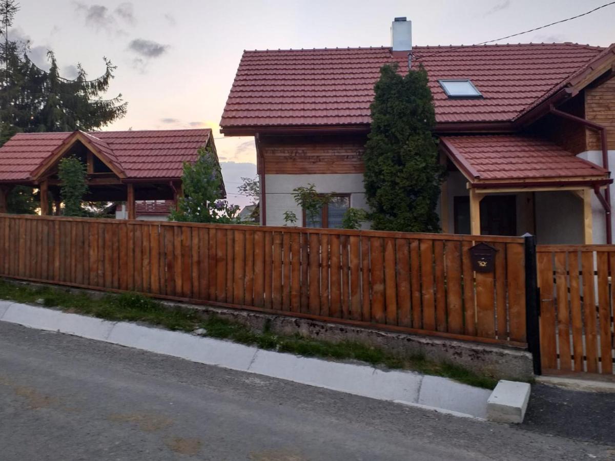 Pensiunea Floare De Colt Beliş Exterior foto